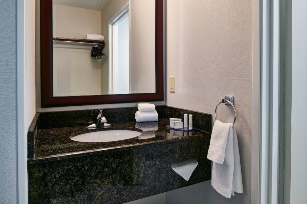 Fairfield Inn And Suites By Marriott Detroit Livonia 8