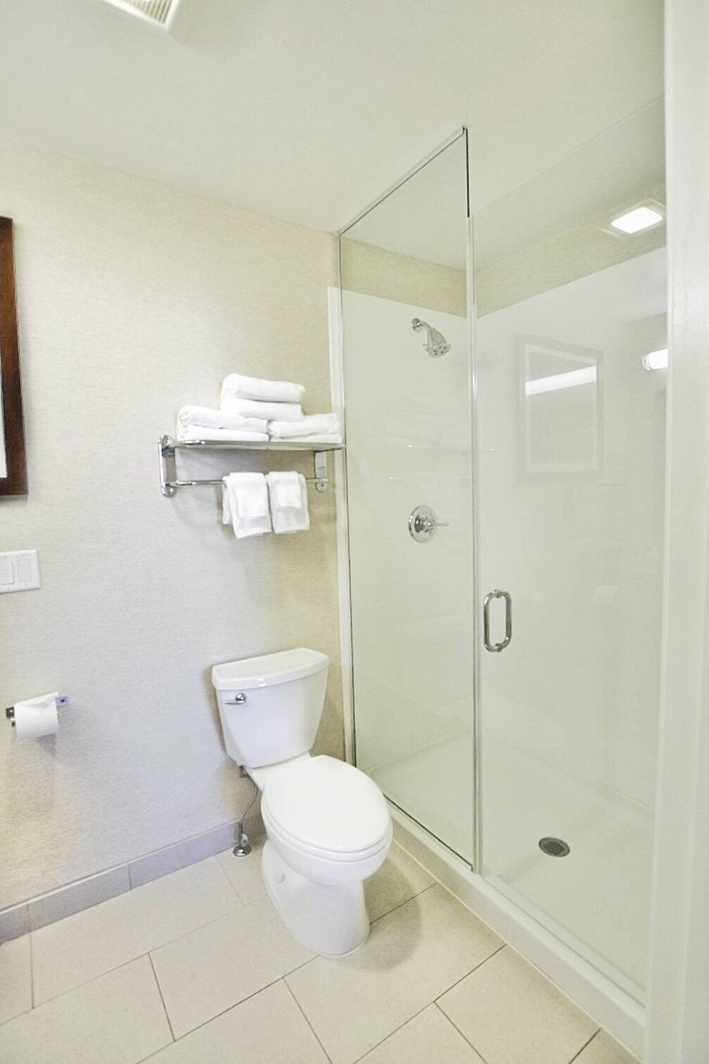 Guest Bathroom - Walk-In Shower