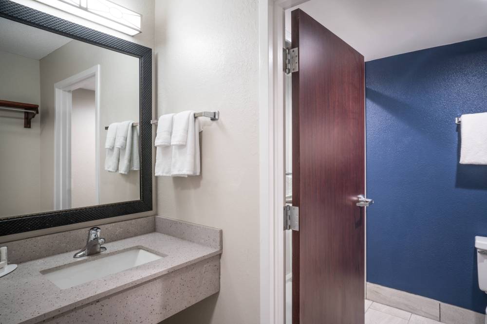 Guest Bathroom - Vanity