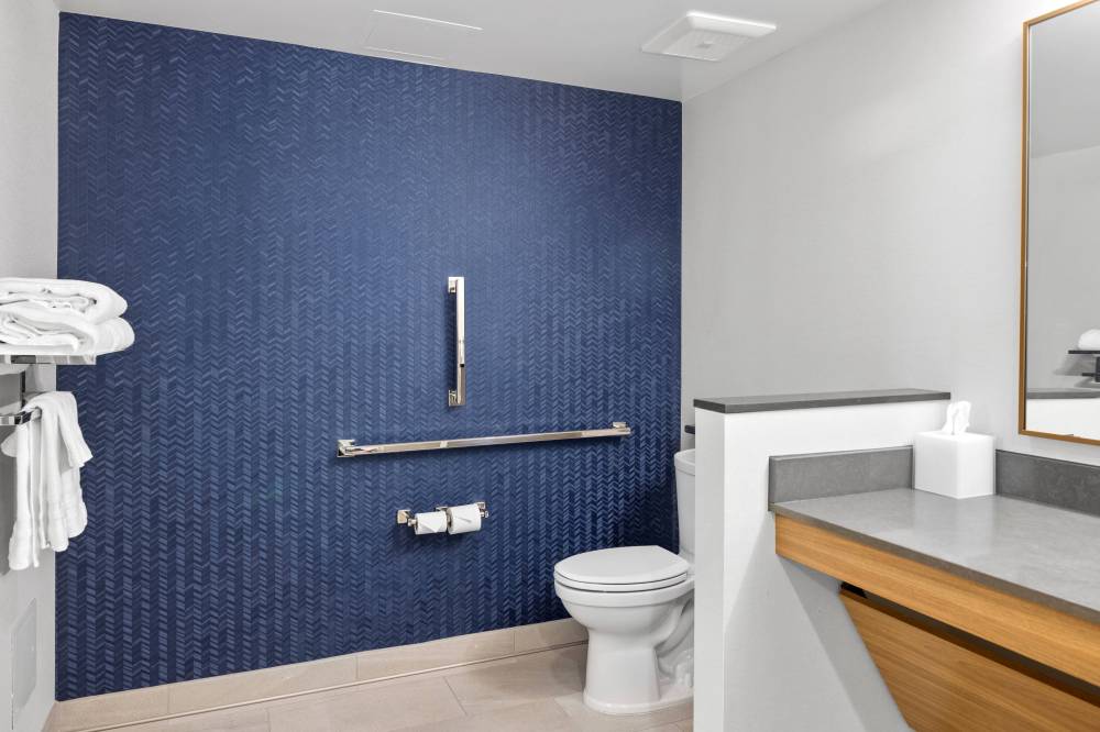 Larger Suite - Accessible Bathroom