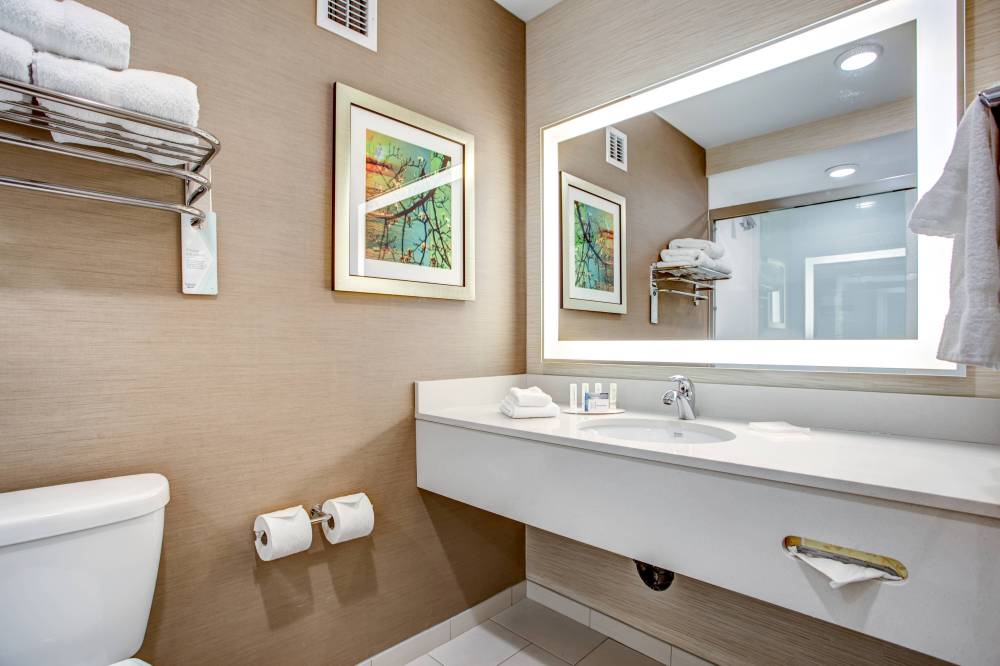 Suite Bathroom