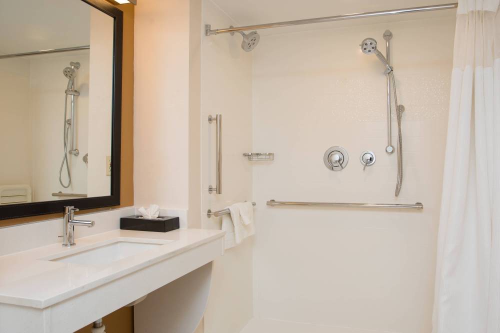 Accessible Guest Bathroom - Roll-in Shower