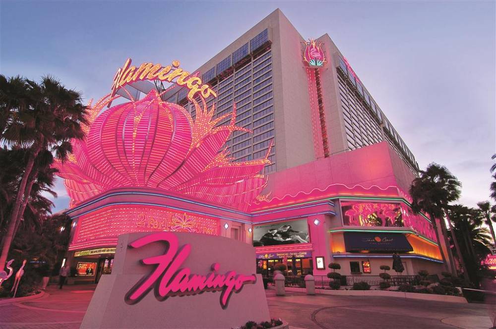 Flamingo Exterior