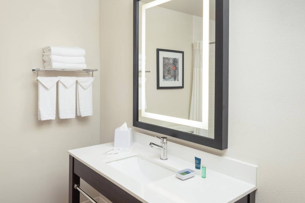 Guest Bathroom - Vanity