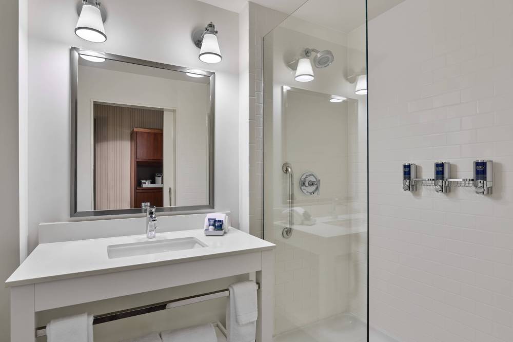 Guest Bathroom - Walk-In Shower