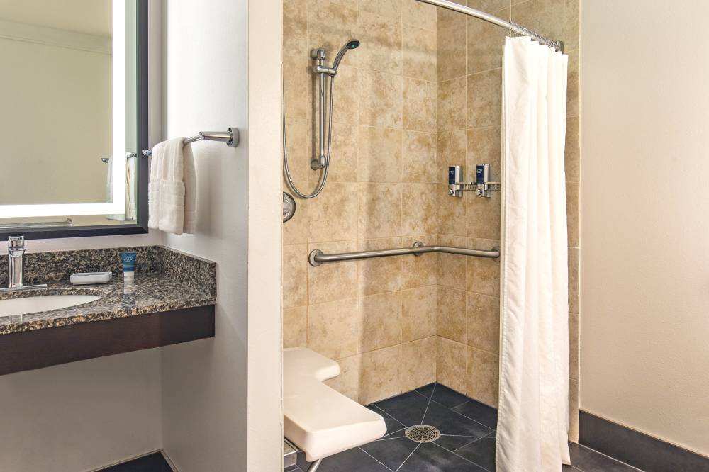 Accessible Guest Bathroom - Roll-In Shower