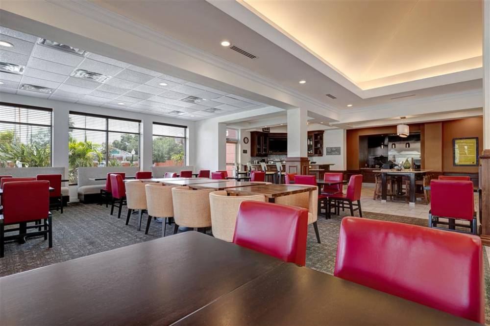 Hilton Garden Inn Tampa Northwest/oldsmar 5