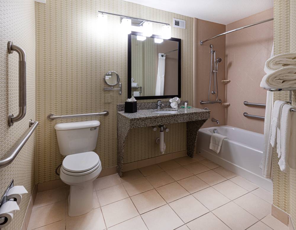 Wheelchair Accessible Guest Bathroom