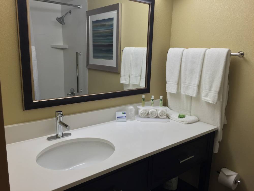 Holiday Inn Exp Arlington Hts 6