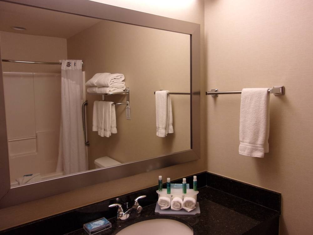 Holiday Inn Exp Roselle 5