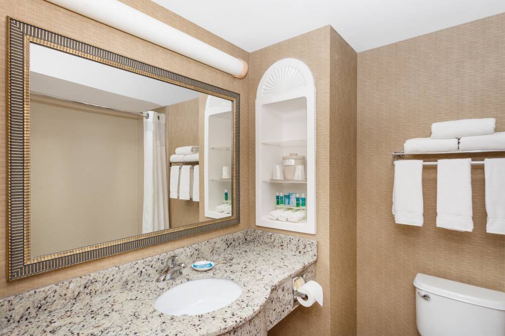 Guest Bathroom 