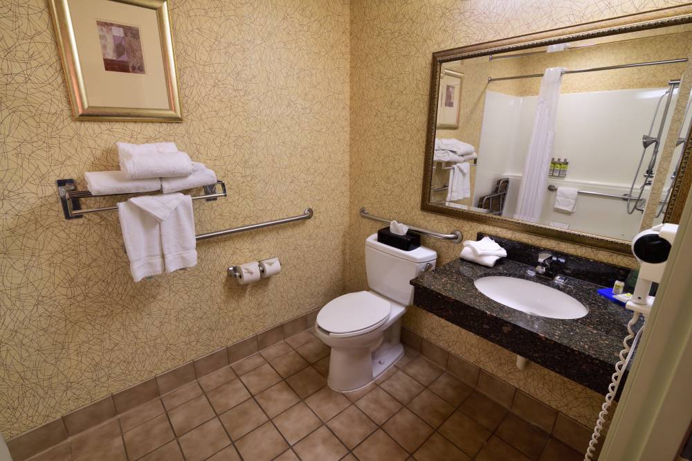 Holiday Inn Exstes Idaho Falls 5