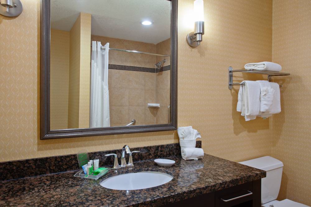 Holiday Inn Htl Stes San Mateo 5