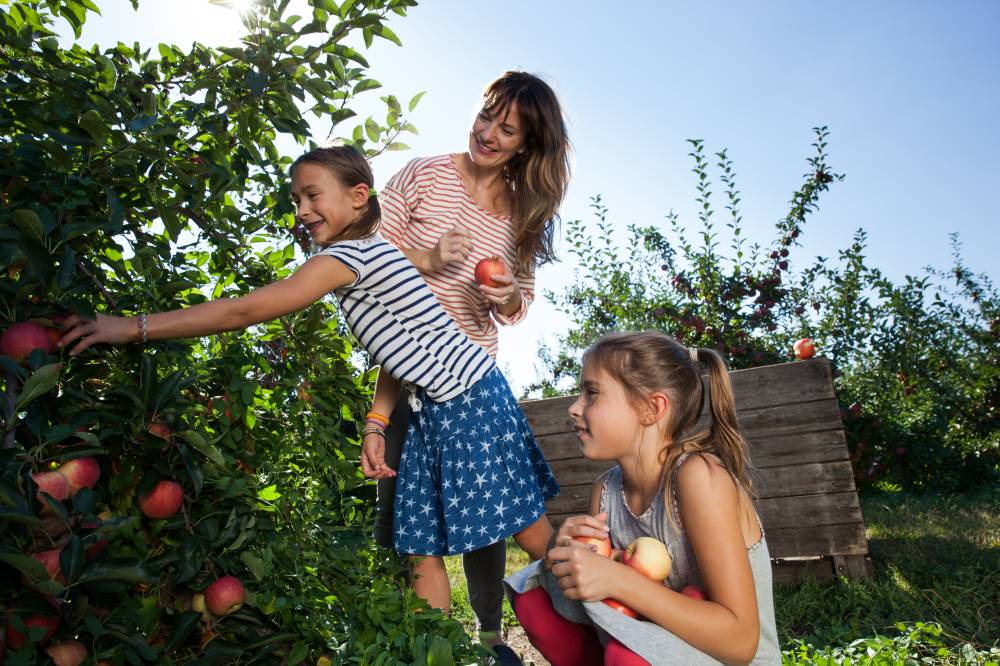 Becker Farms Orchard 