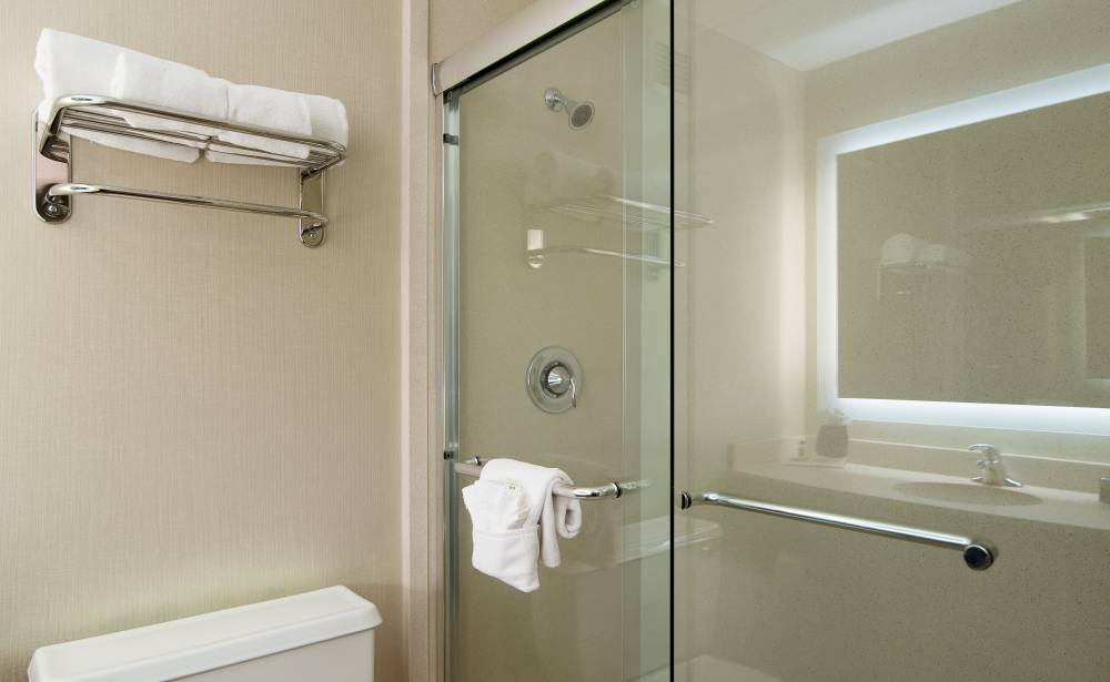 Guest Bathroom with Walk-in Shower