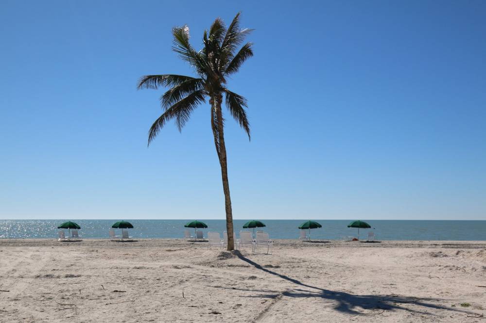 Beach Umbrellas & Lounge Chairs