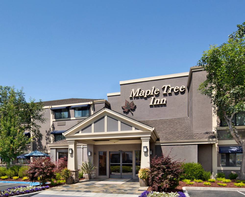 Maple Tree Inn 2