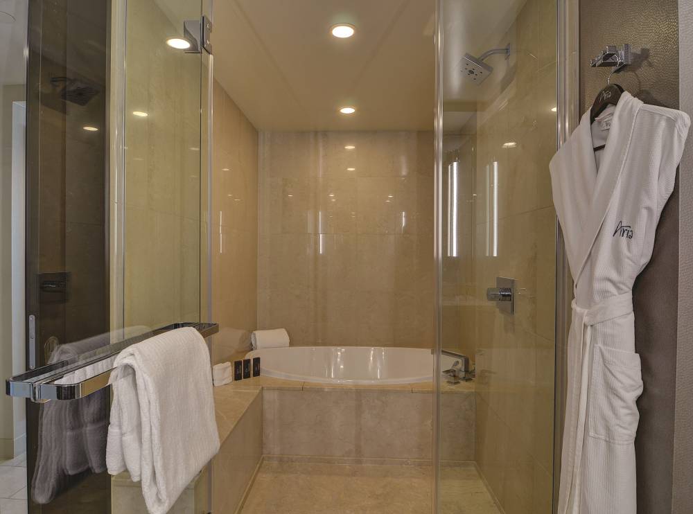 Deluxe Shower And Bath