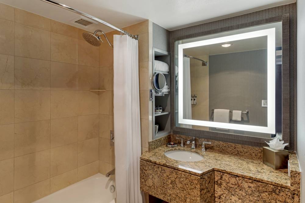 Premier King Bathroom