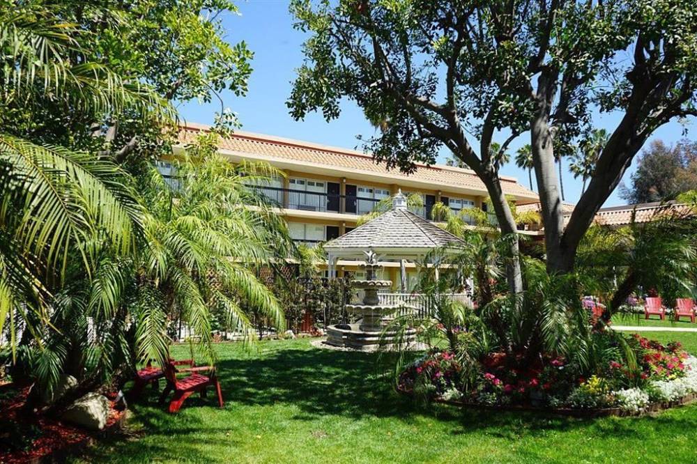 Palm Garden Hotel fountain