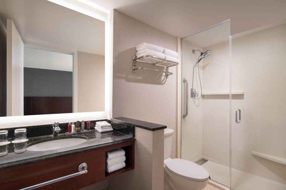 King Deluxe Guest Room - Walk-In Shower