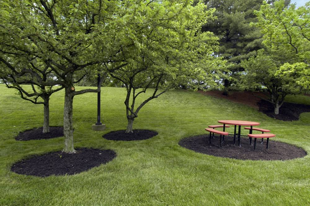 Cincinnati Blue Ash OHCheap Hotel Picnic Area