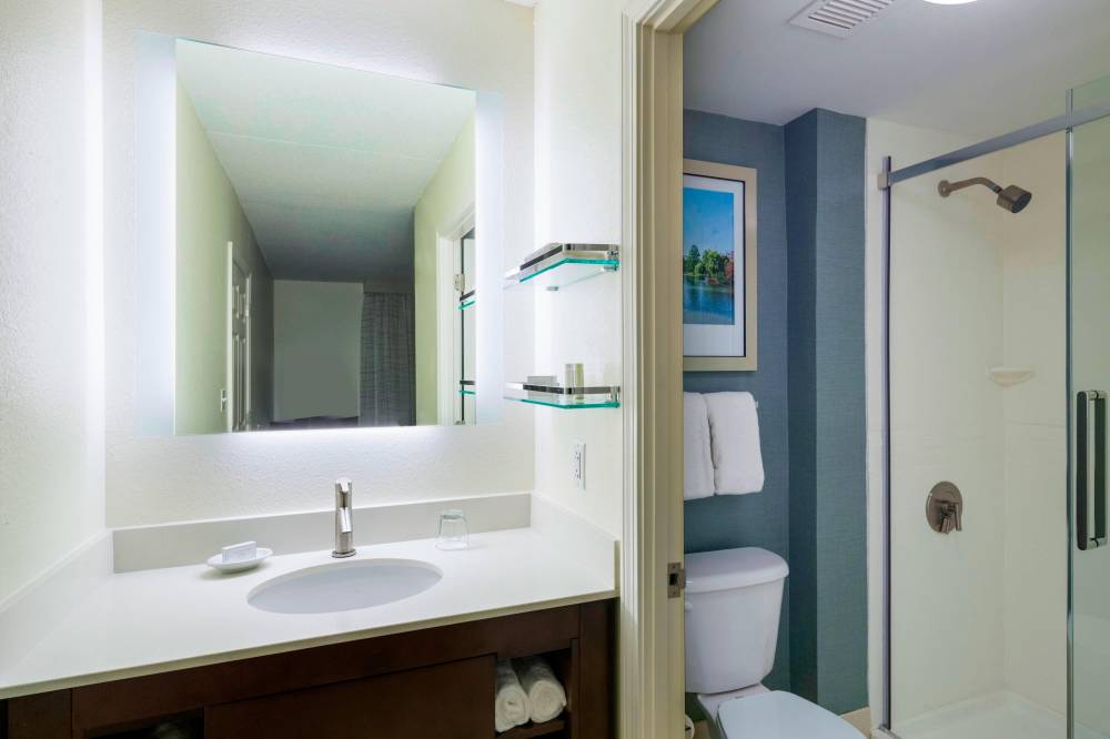 Suite Bathroom