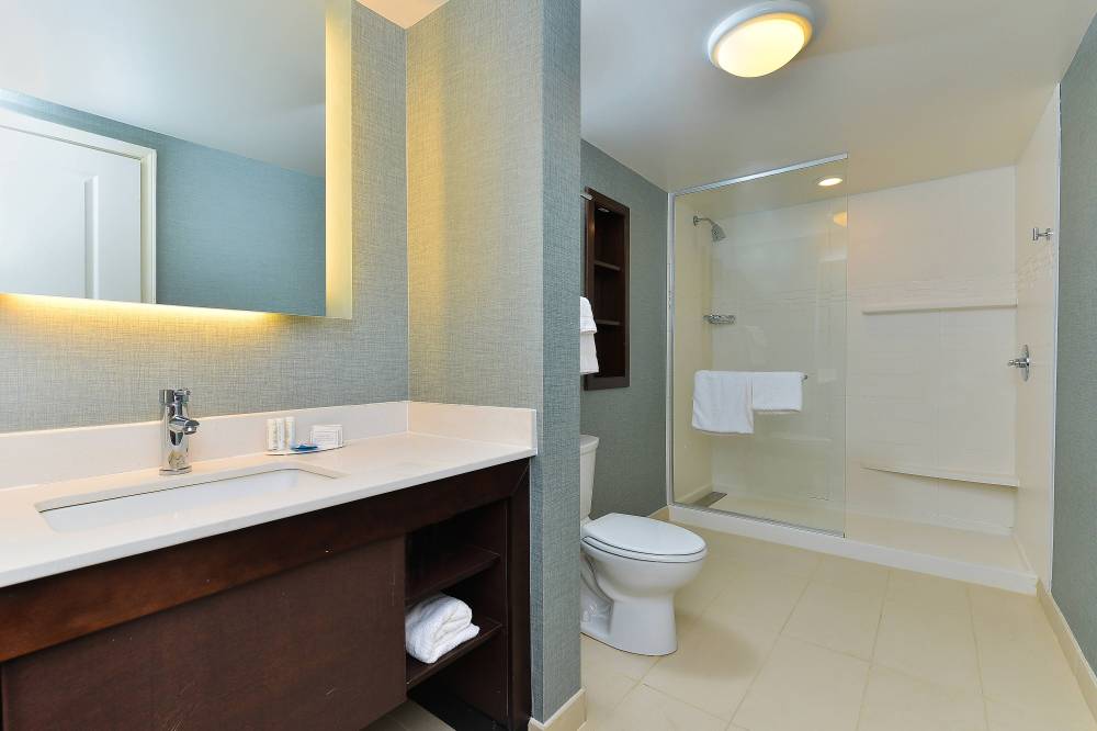 One-Bedroom Suite Bathroom