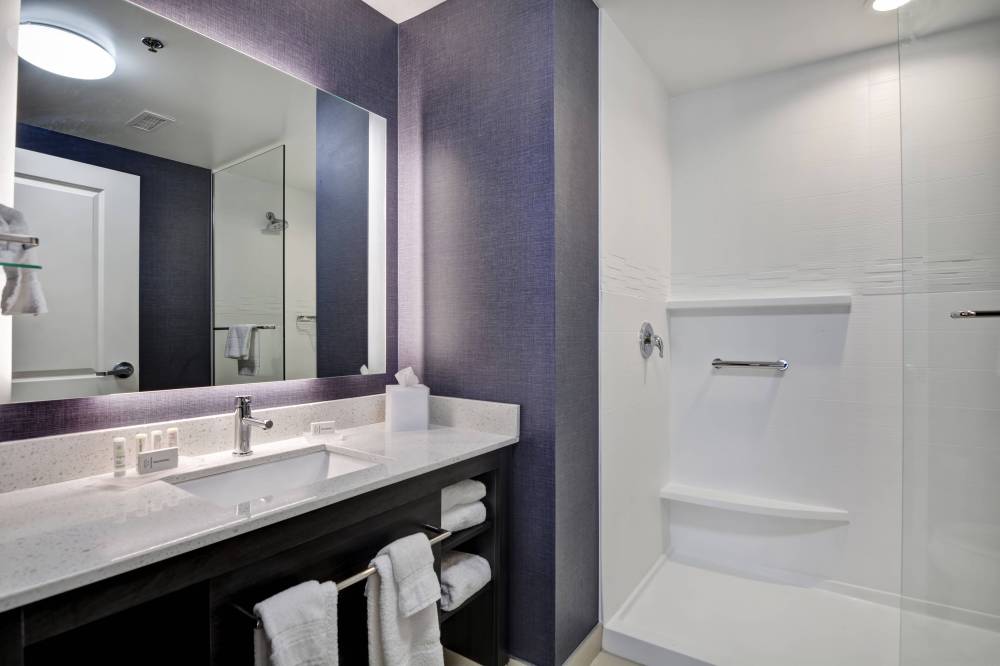 Suite Bathroom