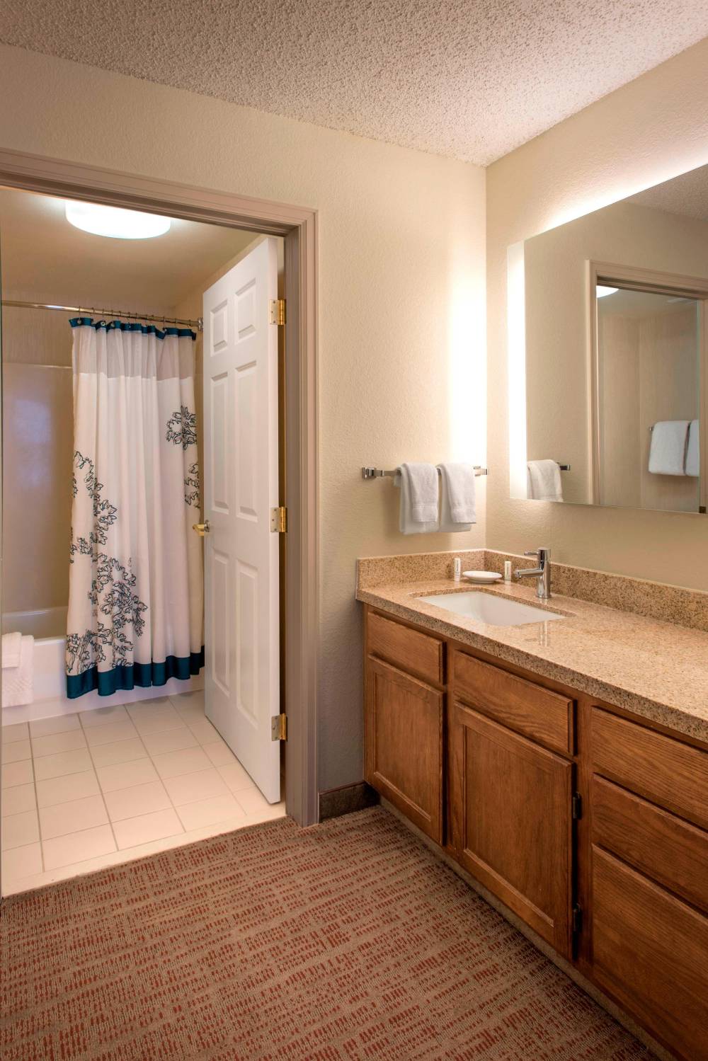 Suite Bathroom