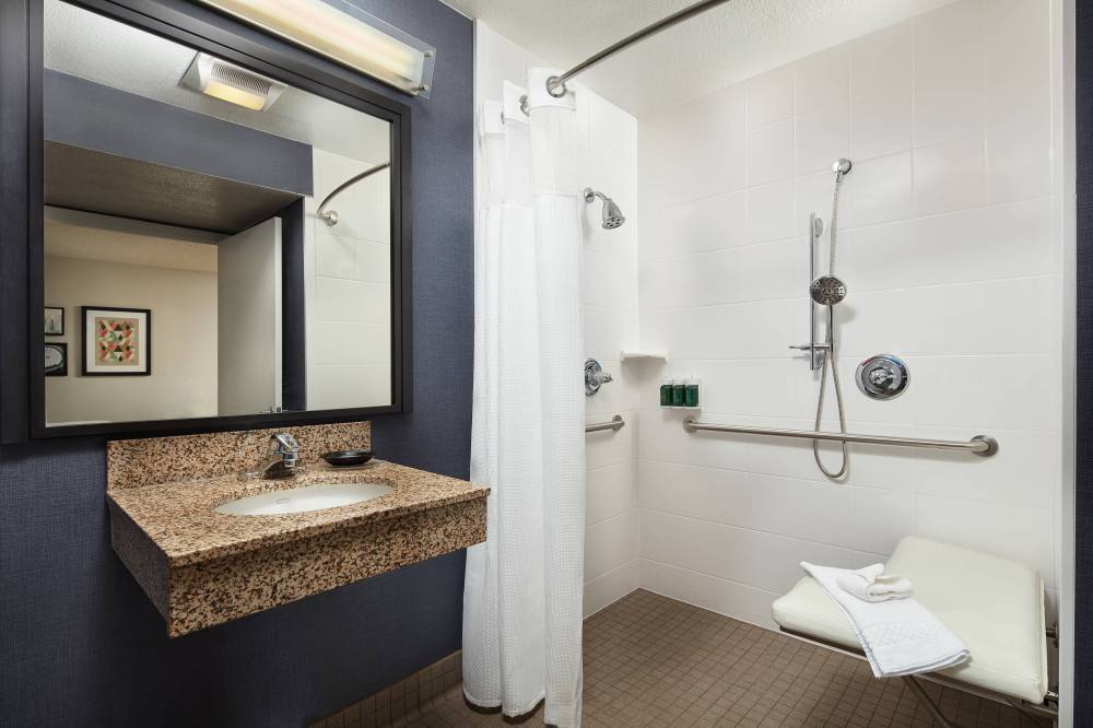 Accessible Suite Bathroom - Roll-In Shower