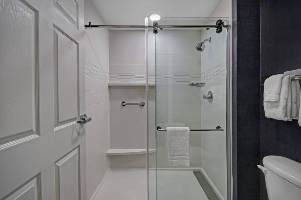 Guest Bathroom - Walk-In Shower