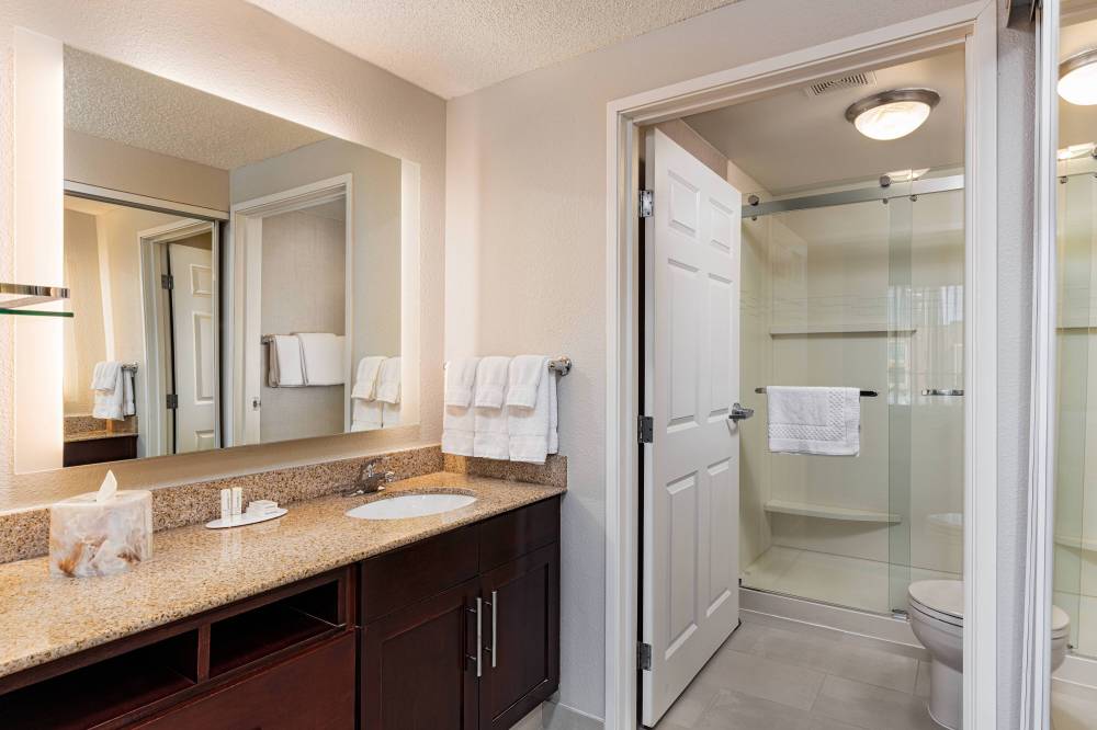 Guest Bathroom - Walk-In Shower