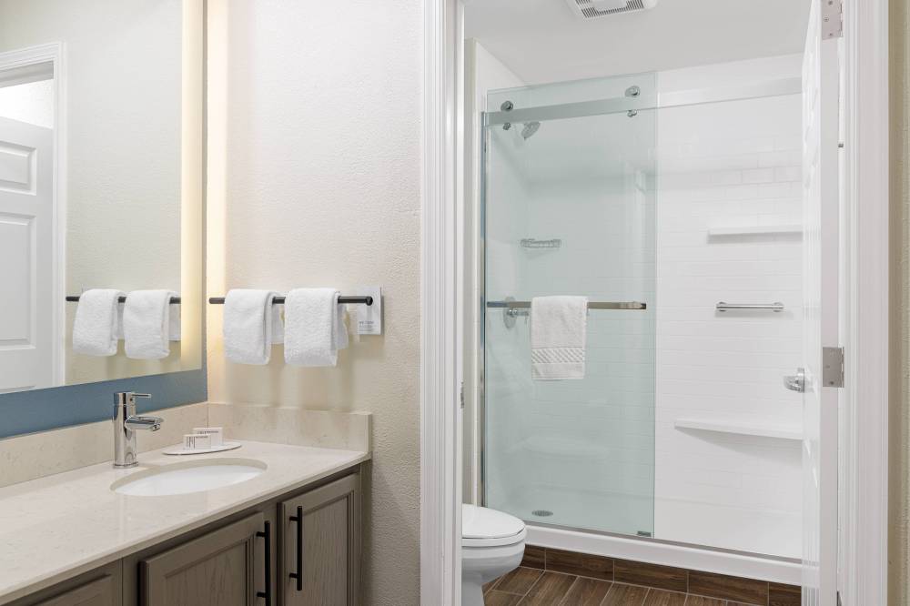 Suite Bathroom - Walk-In Shower