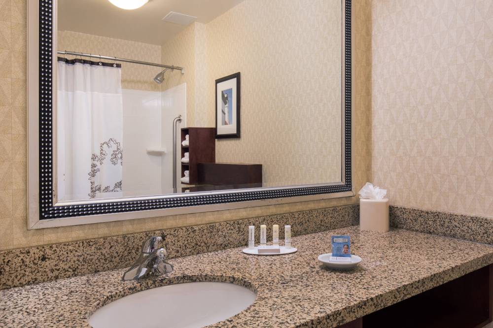 Deluxe Studio Suite - Bathroom