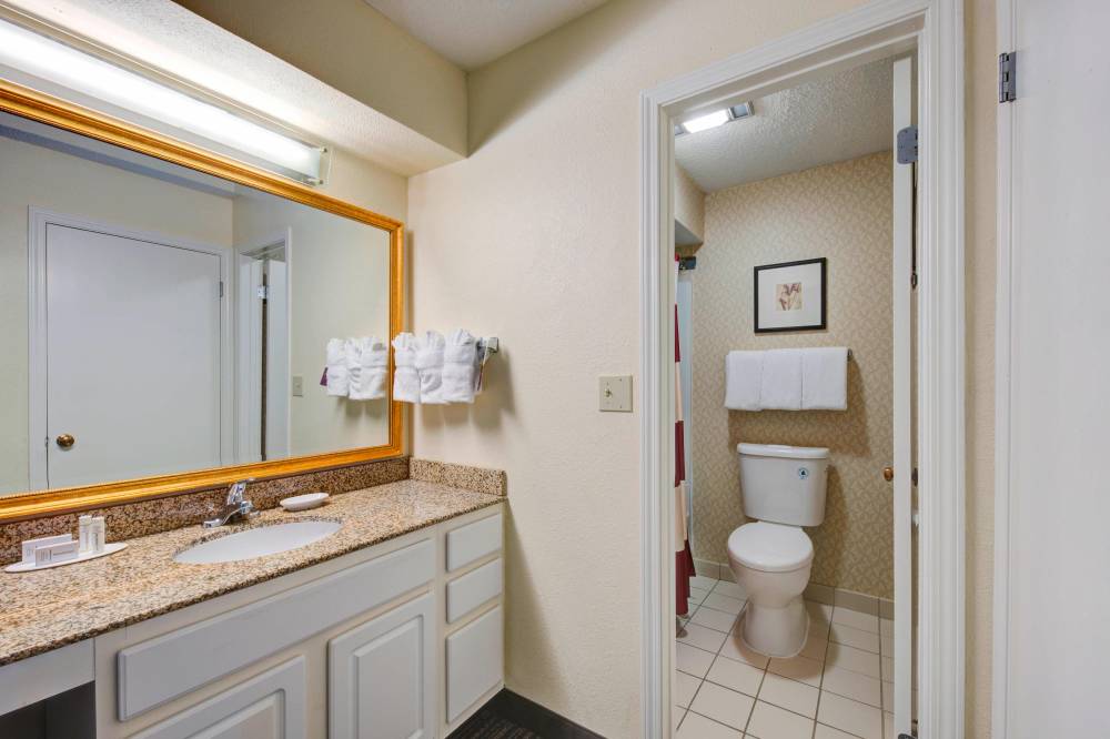 Studio Double/Double Suite - Bathroom