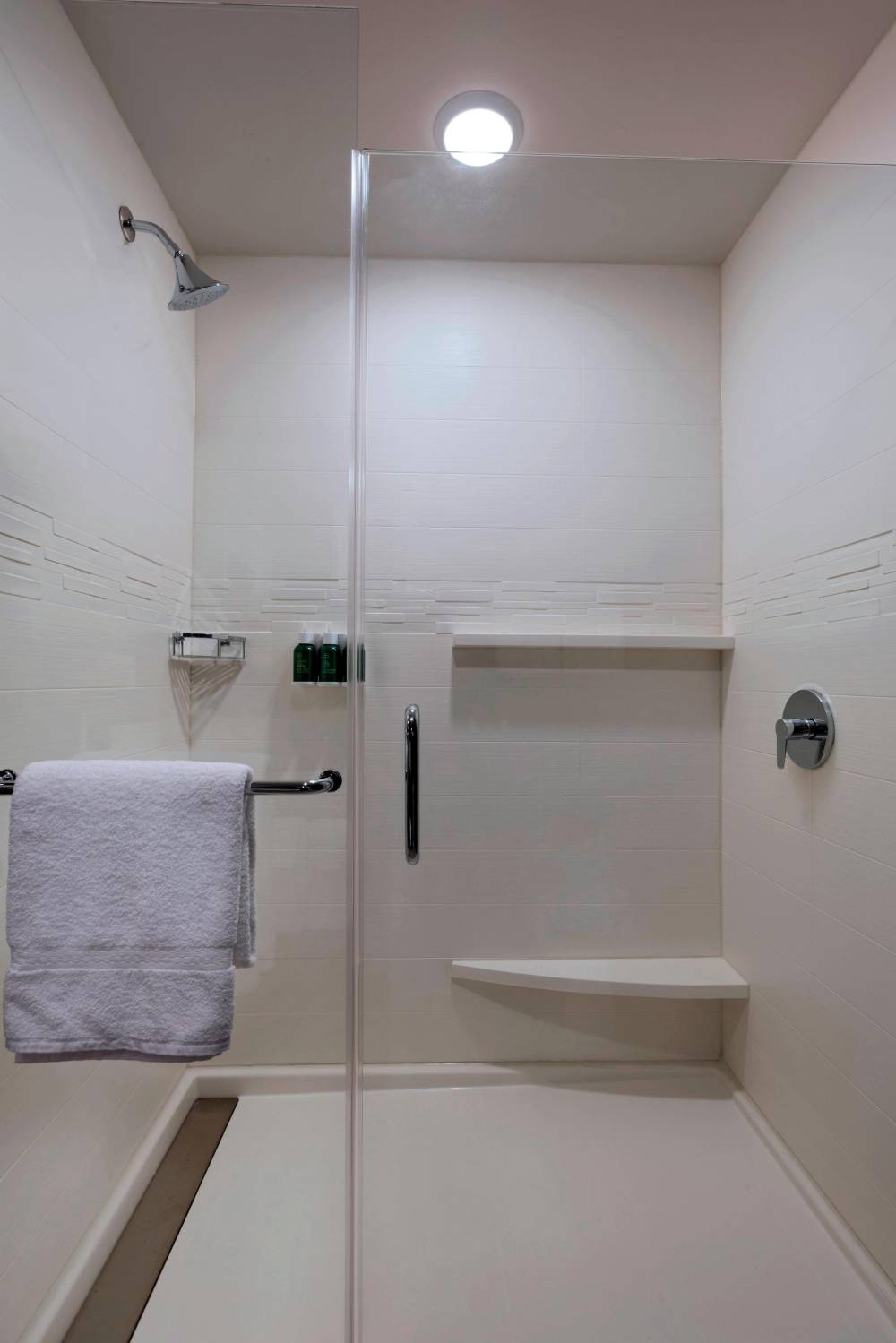 Accessible Shower