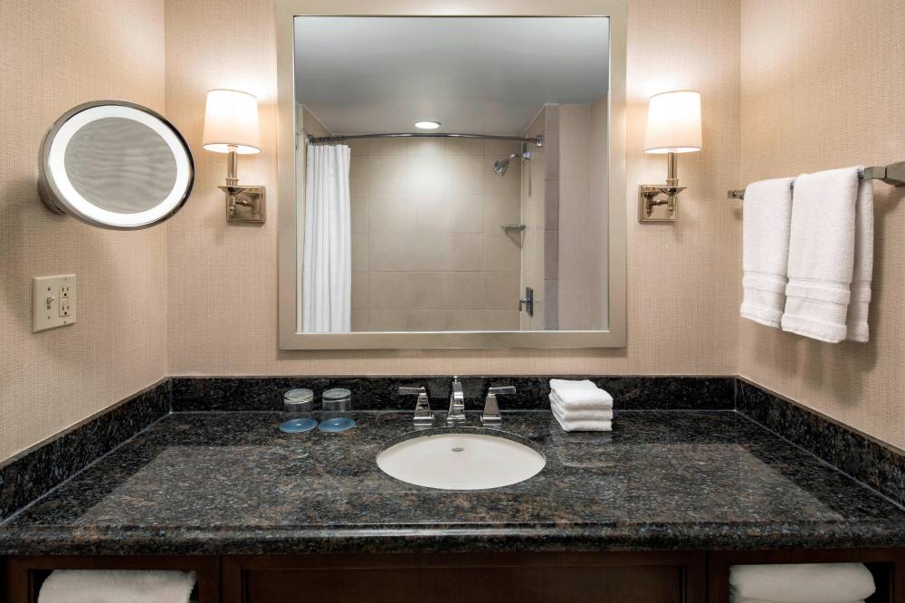 Deluxe Guest Bathroom