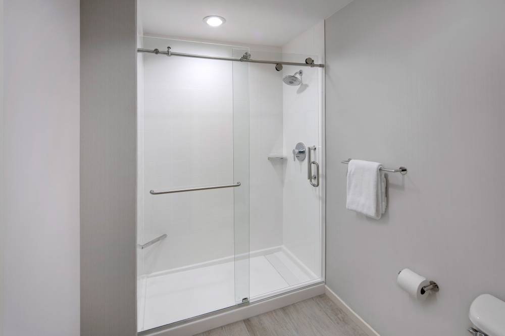 Guest Bathroom - Walk-in Shower