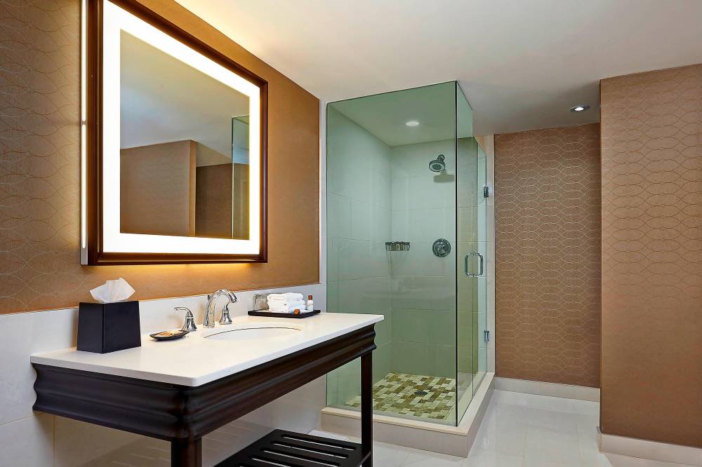 Premium Guest Bathroom - Walk-In Shower