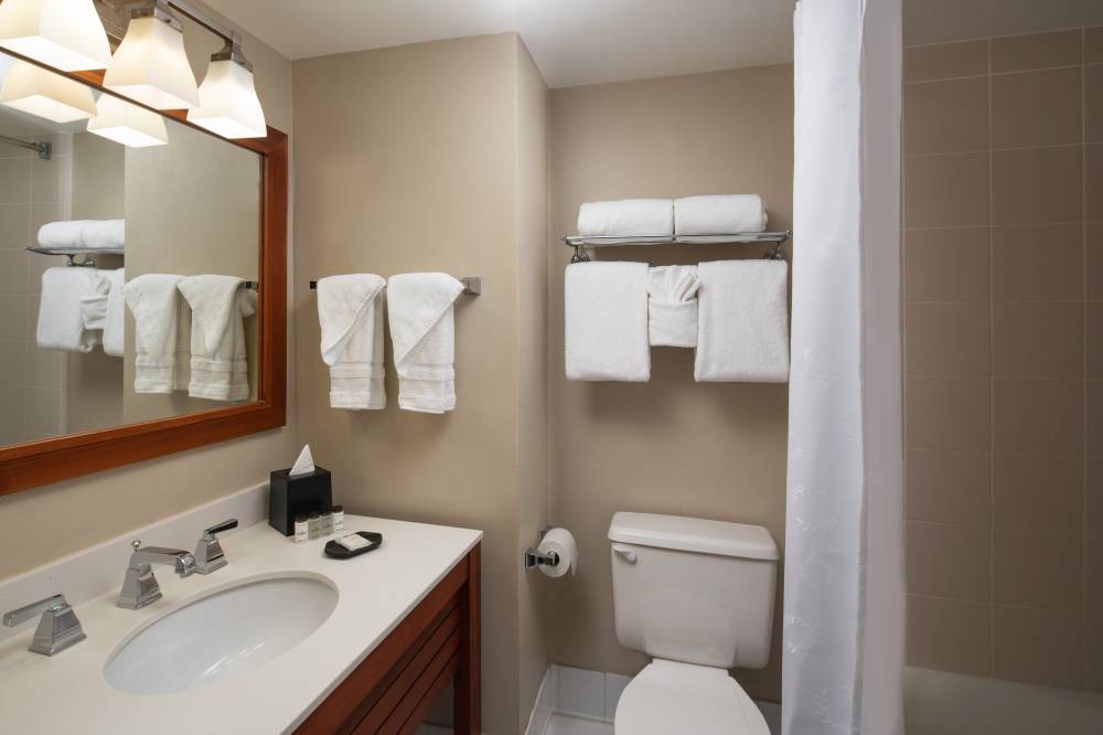 Guest Room Bathroom