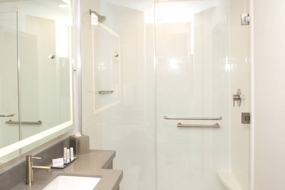 Suite Bathroom - Shower