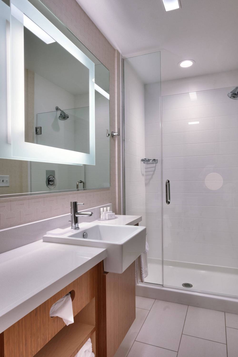 Suite Bathroom