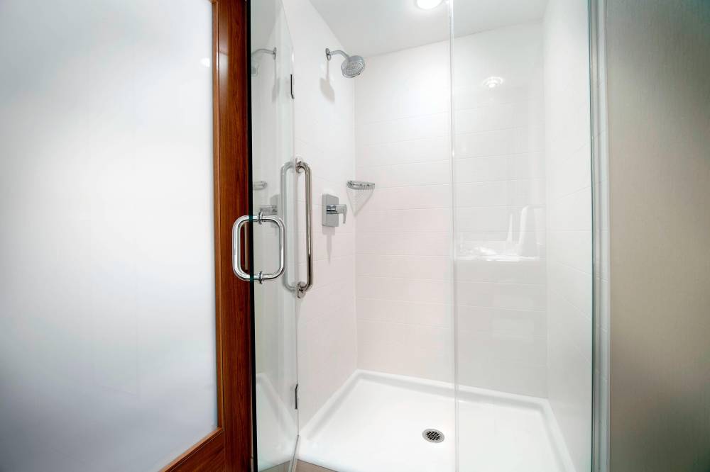 Suite Bathroom - Walk-In Shower