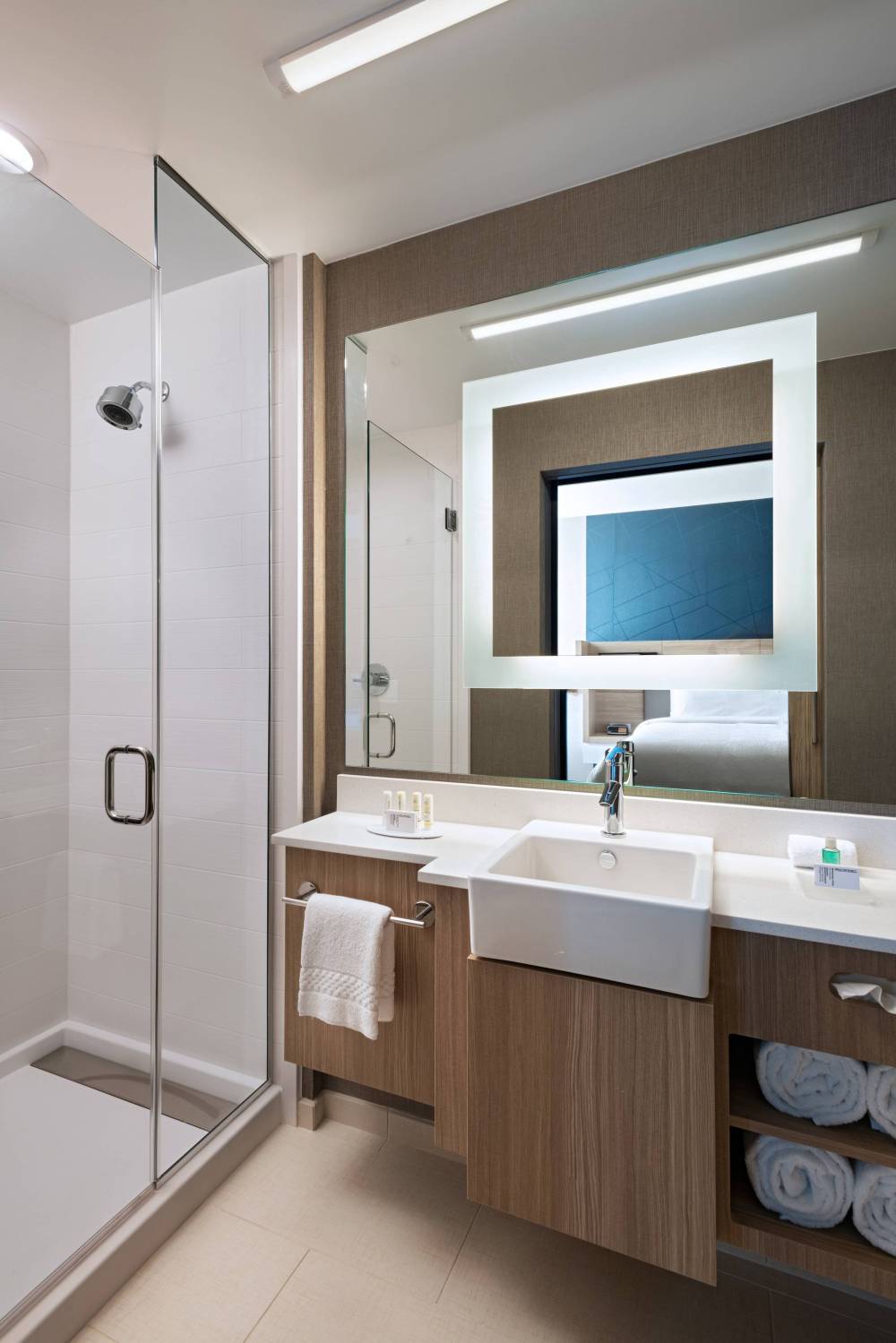 King Studio Suite - Walk-in Shower