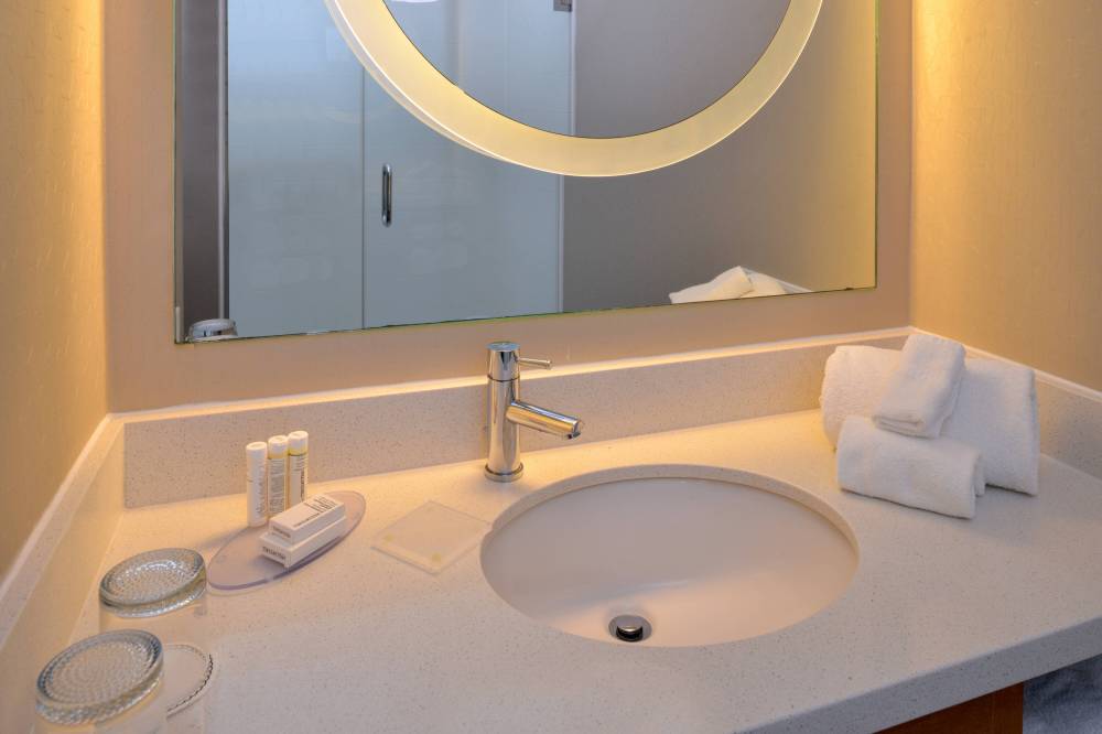 Suite Bathroom