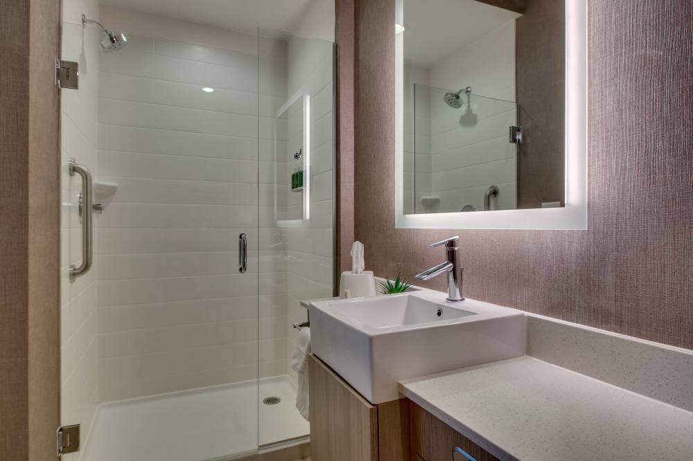 Suite Bathroom - Walk-In Shower