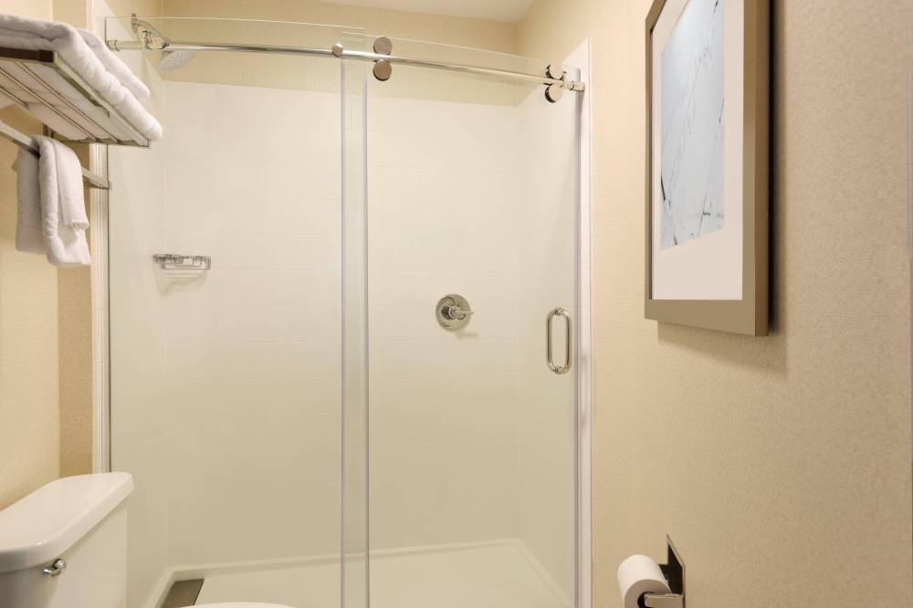 King Suite Shower