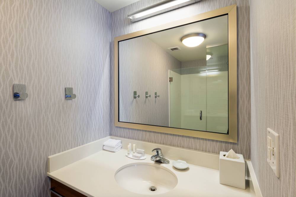 Suite Bathroom