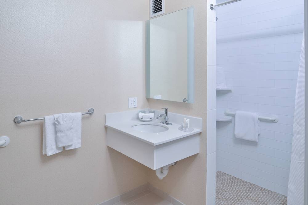 Guest Bathroom Vanity and Shower